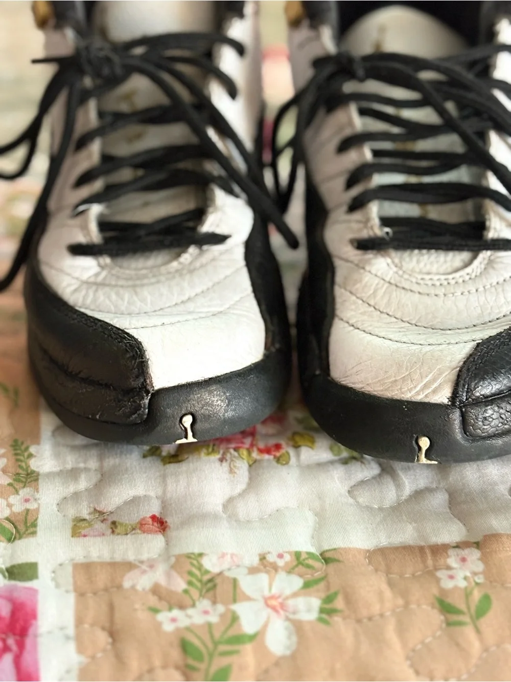 Air Jordan 12 Retro 